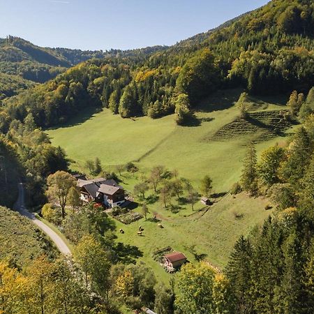 Urlaub Mitten Im Wald - Lueg Scheibbs المظهر الخارجي الصورة