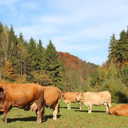 Urlaub Mitten Im Wald - Lueg Scheibbs المظهر الخارجي الصورة
