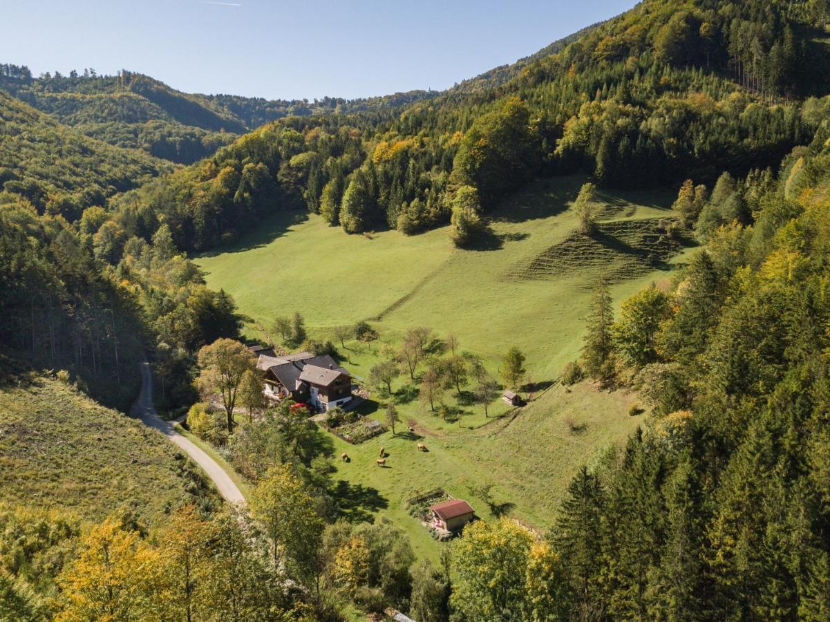 Urlaub Mitten Im Wald - Lueg Scheibbs المظهر الخارجي الصورة