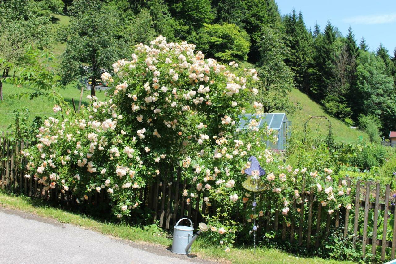 Urlaub Mitten Im Wald - Lueg Scheibbs المظهر الخارجي الصورة