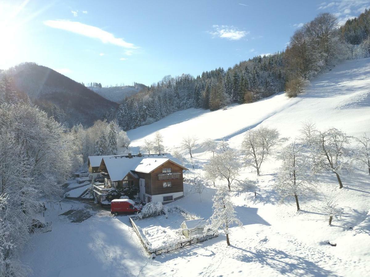 Urlaub Mitten Im Wald - Lueg Scheibbs المظهر الخارجي الصورة