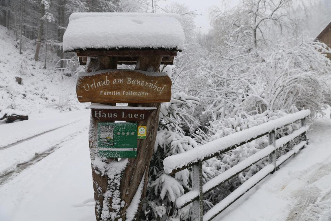 Urlaub Mitten Im Wald - Lueg Scheibbs المظهر الخارجي الصورة